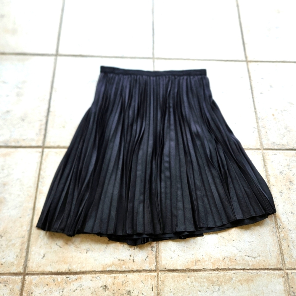 Jason Wu pleated skirt